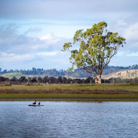 Blackwood Park Cottages Mole Creek Buitenkant foto
