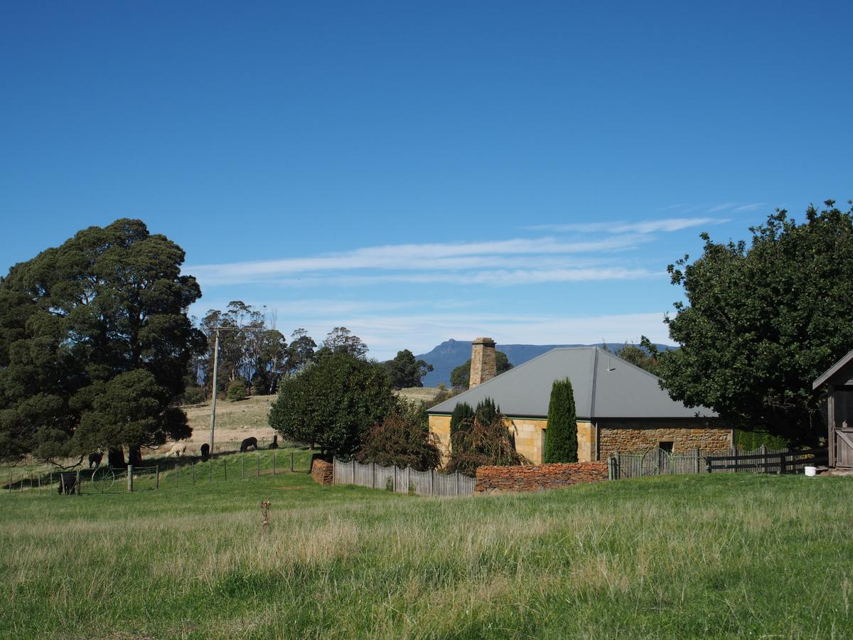 Blackwood Park Cottages Mole Creek Buitenkant foto