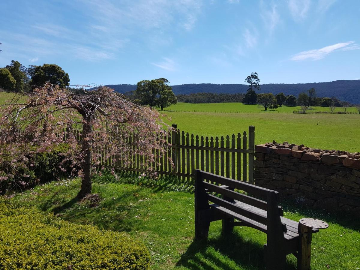 Blackwood Park Cottages Mole Creek Buitenkant foto