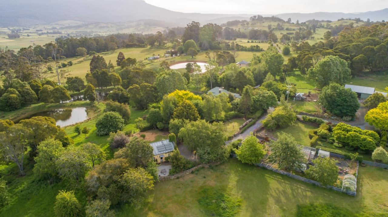Blackwood Park Cottages Mole Creek Buitenkant foto